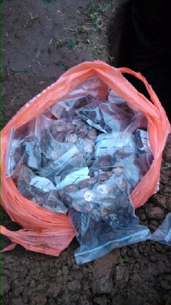 Metal Detectives Group tweet media