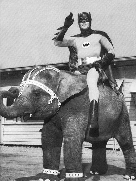 Batman riding an elephant, c. 1967