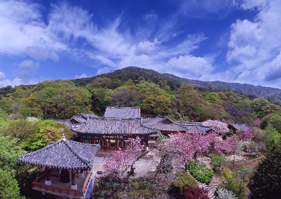 [이종열] 이종열이 추천하는 '서산구경'
blog.naver.com/tree0140/22020…