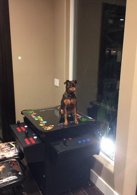 She loves the new toy lol #pumpkin @mikethemiz http://t.co/OF98OxEeMD<a href="/tag/pumpkin"class="tags">#pumpkin</a><a class="tags" target="_blank" title="On Twitter" href="/?out=eyJ0eXAiOiJKV1QiLCJhbGciOiJIUzUxMiJ9.eyJpYXQiOjE3MTk4MjMyNjgsImlzcyI6InR3cG9ybnN0YXJzLmNvbSIsIm5iZiI6MTcxOTgyMzI2OCwiZXhwIjoxNzUxMzU5MjY4LCJyZWRpcmVjdF91cmwiOiJodHRwczovL3R3aXR0ZXIuY29tL21pa2V0aGVtaXoifQ.VNxNuQ7oOykS-Dpv4H2sO7bw4y7q5B89-V0PQTut7RUAcW8N-eF_9_uU3M0AxzJmolqsGB2L6ZDya986DriUrg">@mikethemiz</a>