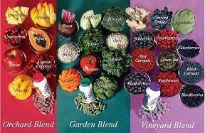 5ad4h's tweet photo. £1.90 a day to get the essence of 26 varieties of fruits veggies and berries #JuicePlus http://t.co/IpF4eSyy8V http://t.co/KoXdIUPuJE