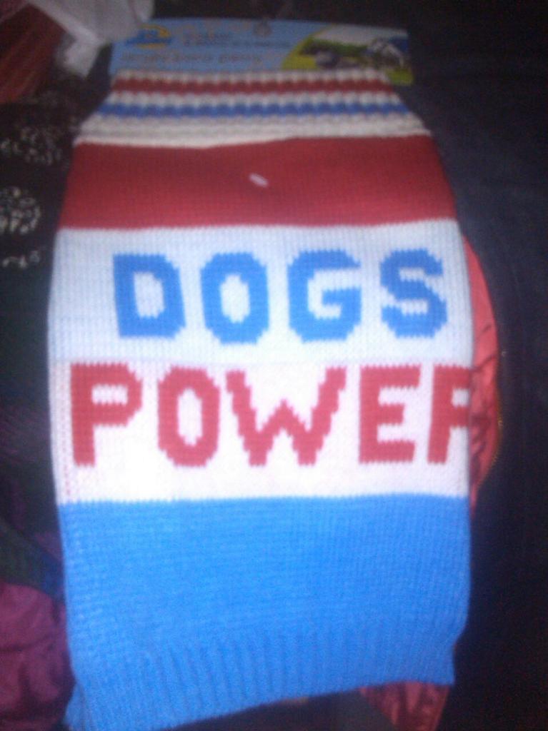 SnowFey's tweet photo. Por el disgusto mi madre me trajo un jersey para mi perra de los chinos y es lo mejor del mundo #DogsPower #Perrinazi http://t.co/VVfwBM8l3V