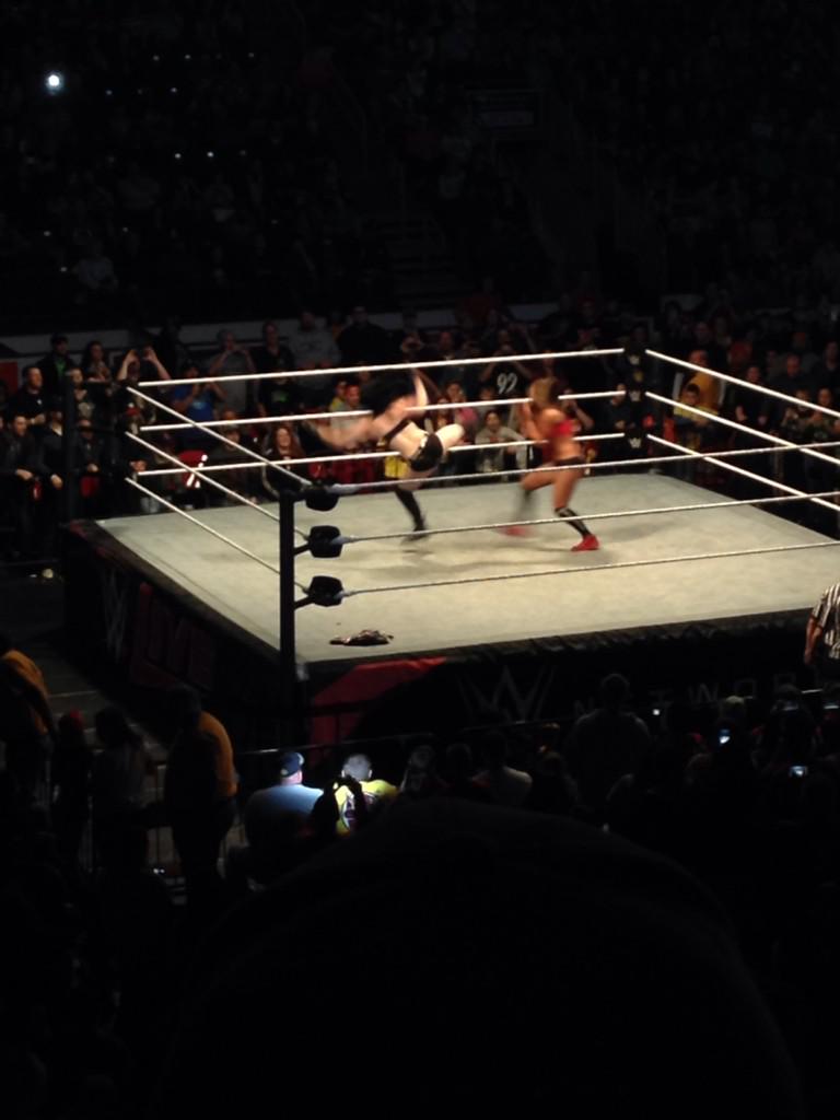 apbawesome's tweet photo. @RealPaigeWWE kick @BellaTwins butt #WWEHershey http://t.co/pGkDwcZt0v