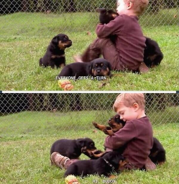SpeakComedy's tweet photo. Me with animals http://t.co/qz2DaQRPoY