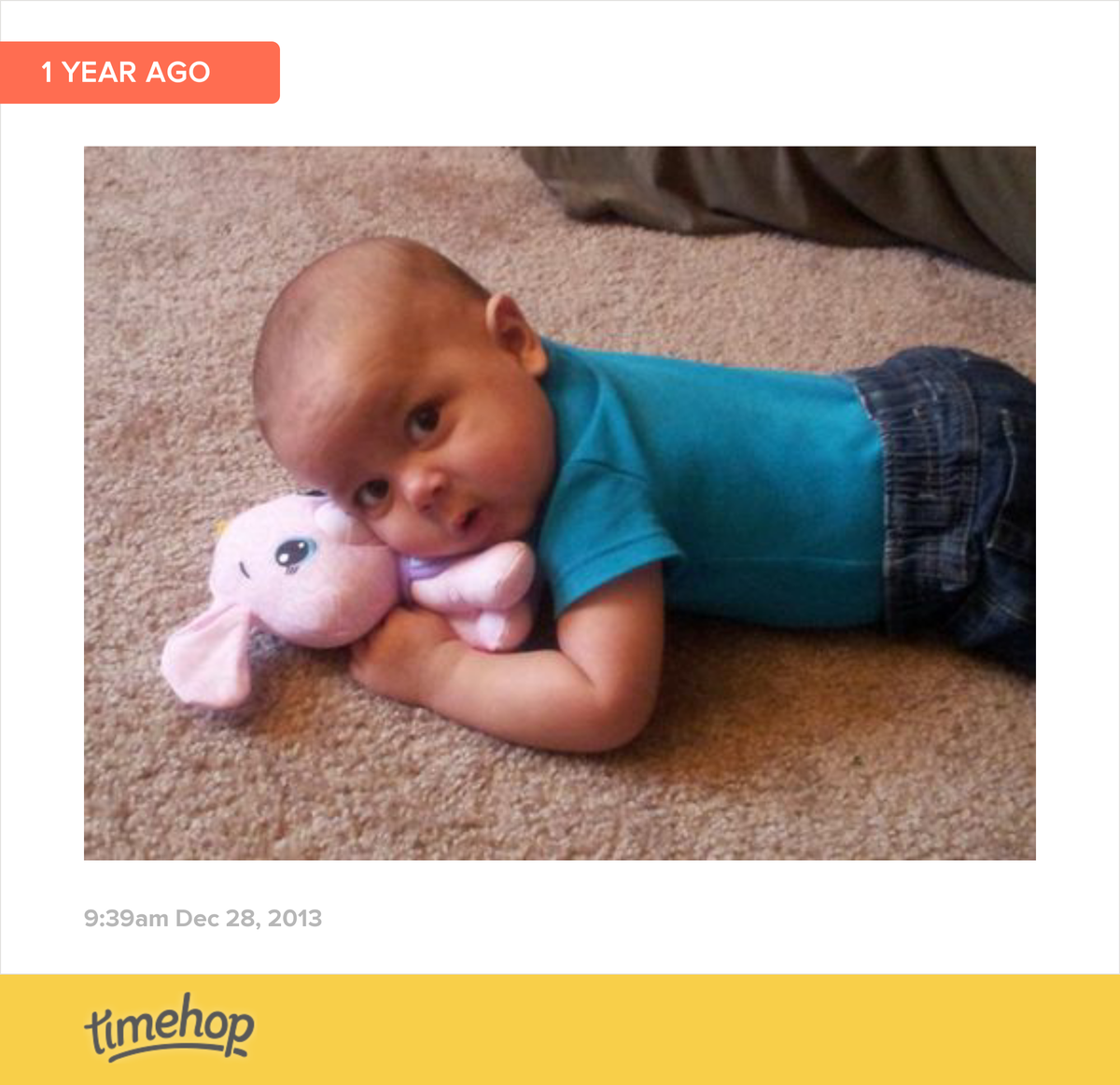 RedNeckChick25's tweet photo. he thinks he is soooo cute lol love my k-man 💙💚💙💚 http://t.co/JhHGmBd7HR http://t.co/PuFSpgpcLW