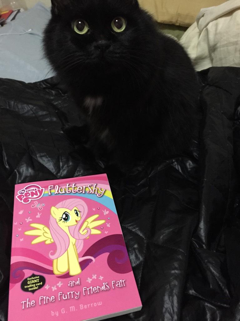 OsakaJack's tweet photo. Ha! Look what just arrived! Early AGAIN! I love Japan. @gmberrow @Cliff_M85 #PrePreRelease #brony http://t.co/8zpjNA299c