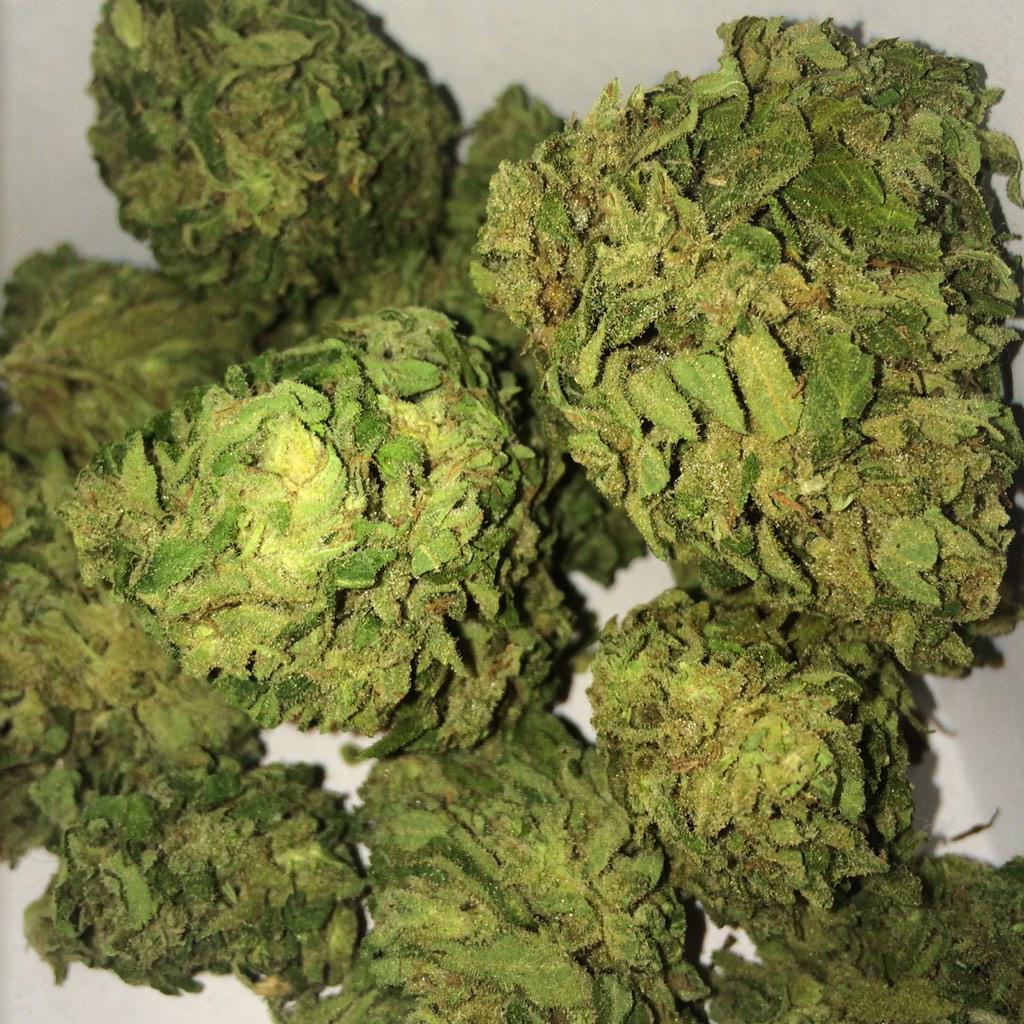 GreenTreeWheels's tweet photo. Tartukan "Death Weed" check out the story behind this strain. It's Bananas. #mmjdelivery #bayareadelivery #greentree http://t.co/1IAqaqdfRv