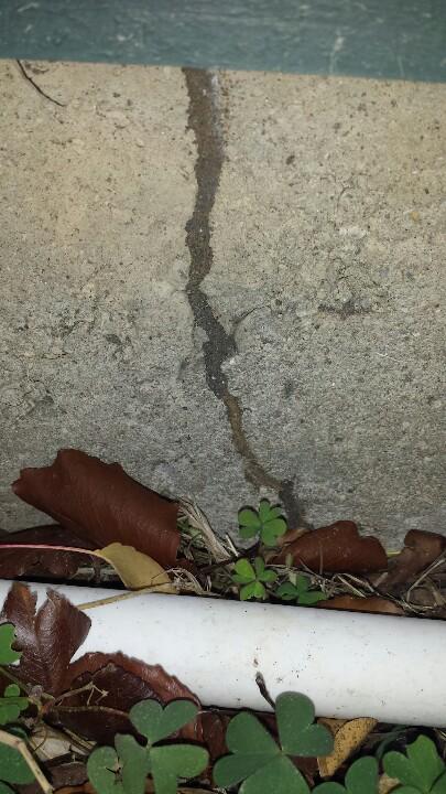 BugCommander's tweet photo. North Texas homes are constantly under attack! #termites #infestation #homeowner #bugcommanderpestcontrol #friscotx http://t.co/nAIhV6YUvl