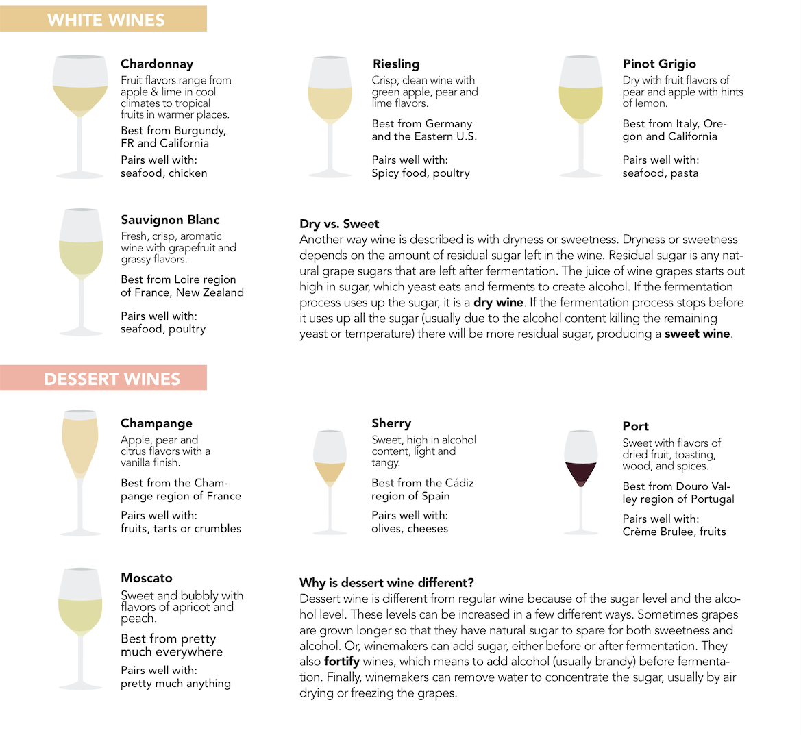 Beginners guide to different types of Wine glasses 