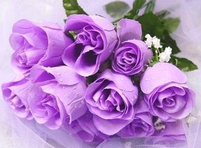 Love them... Beautimous... 😍💋😘RT @zdarc: @MissCelesteStar Happy Birthday! http://t.co/eR8esLsAMh<a class="tags" target="_blank" title="On Twitter" href="/?out=eyJ0eXAiOiJKV1QiLCJhbGciOiJIUzUxMiJ9.eyJpYXQiOjE3MjEwMDI3NzMsImlzcyI6InR3cG9ybnN0YXJzLmNvbSIsIm5iZiI6MTcyMTAwMjc3MywiZXhwIjoxNzUyNTM4NzczLCJyZWRpcmVjdF91cmwiOiJodHRwczovL3R3aXR0ZXIuY29tL3pkYXJjIn0.N2Tmf298f-JtJF4Qeb0_8BJf5UbuamPGD6k13tKXtdLU2mZwqGUc7qgvMvX8konrnlLbbk9JWFviKccSczirLw">@zdarc</a><a class="tags" href="/tag/misscelestestar">@misscelestestar</a><a href="/tag/bestscene"class="tags"><span>#bestscene</span></a><a href="/tag/allgirlrelease"class="tags"><span>#allgirlrelease</span></a>