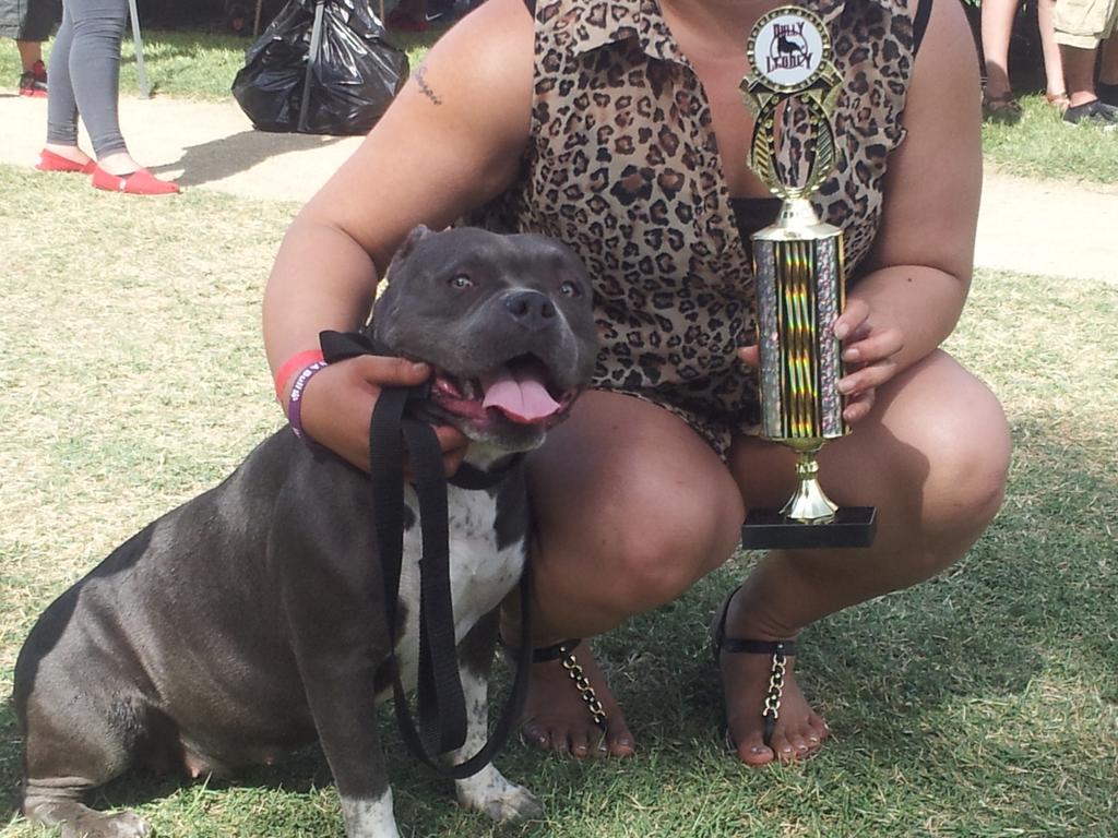 PlayerPrince400's tweet photo. If you need dog cameos for your next video touchofroyaltykennls@Facebook.com they got that shit! #Bully #SuperBad http://t.co/00JKmhtPIF