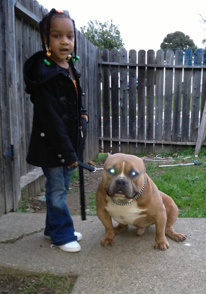 PlayerPrince400's tweet photo. If you need dog cameos in your next video contact touchofroyaltykennls@Facebook. com http://t.co/jmRfbKDtRL