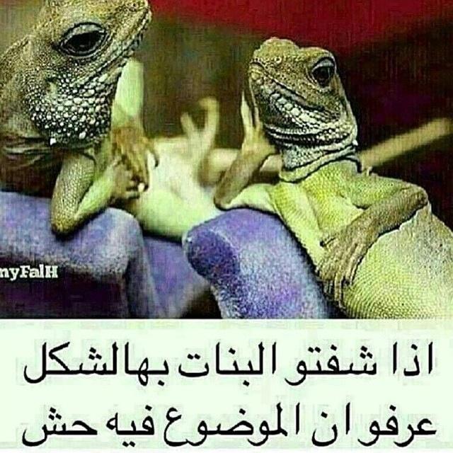 عٌسِوٌلَهّ (@sss123yyy44) on Twitter photo 
