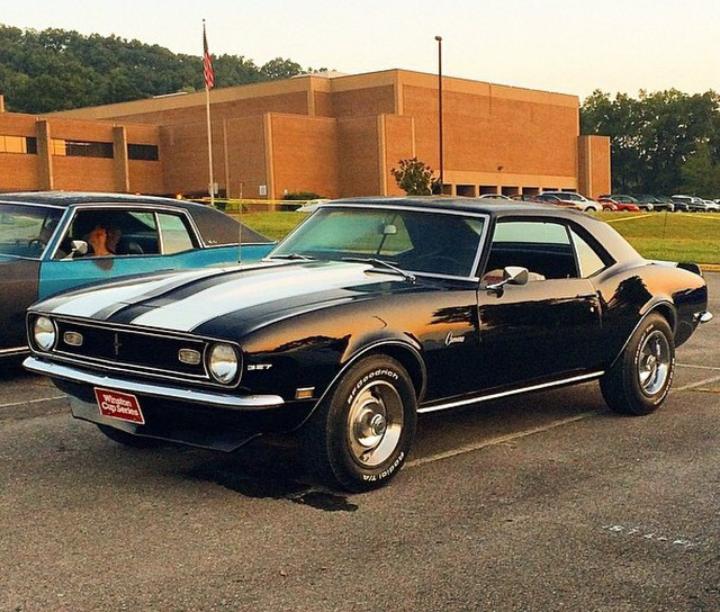 Muscle Cars tweet media