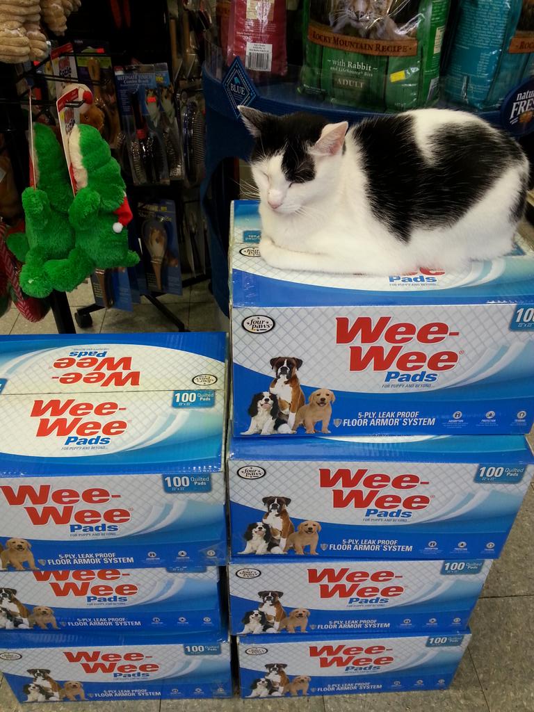 Animalpantry Hashtag On Twitter