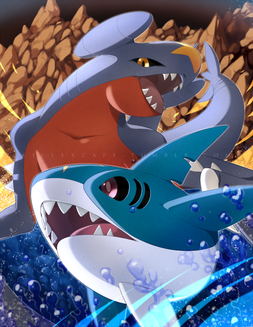 PokeTrends's tweet photo. #PokéFaceOff 
RT for Garchomp, and Fav for Sharpedo. http://t.co/02e3UhbGpb