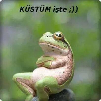 m.ali öz (@malimmalim) on Twitter photo 