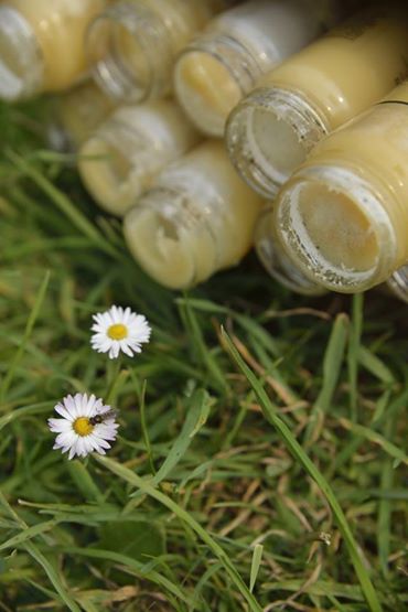 RedCowNow's tweet photo. A native bee hooray! Have you tried our own raw honey? Made with love on our farm! http://t.co/c2L1Ou9WMG