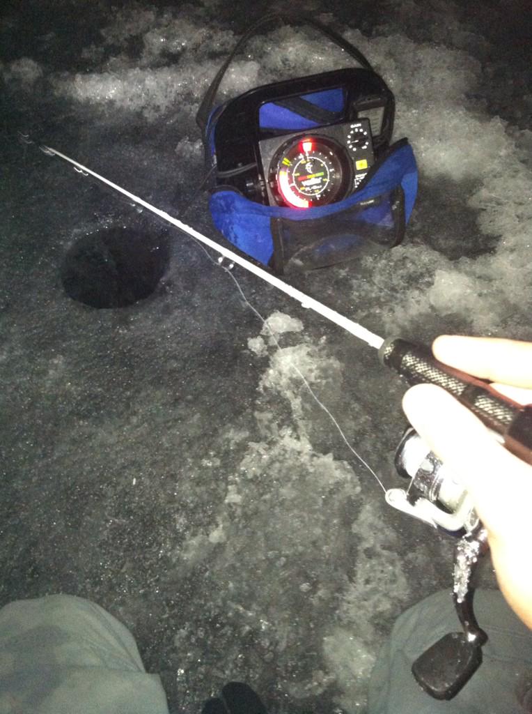 MNfishnatic tweet picture