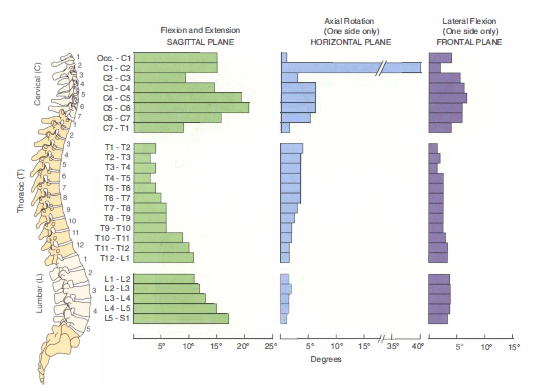 ezeyan's tweet photo. “@FisioActual: movimiento de cada segmento de la Columna Vertebral. Sahrmann S. Movement System Impairment Syndromes http://t.co/ApyswCw6pB”