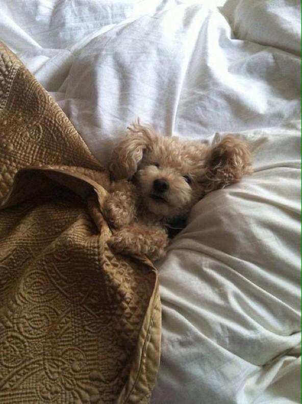 ltsDrake_'s tweet photo. my plans for tonight http://t.co/iWmHA4dU7k
