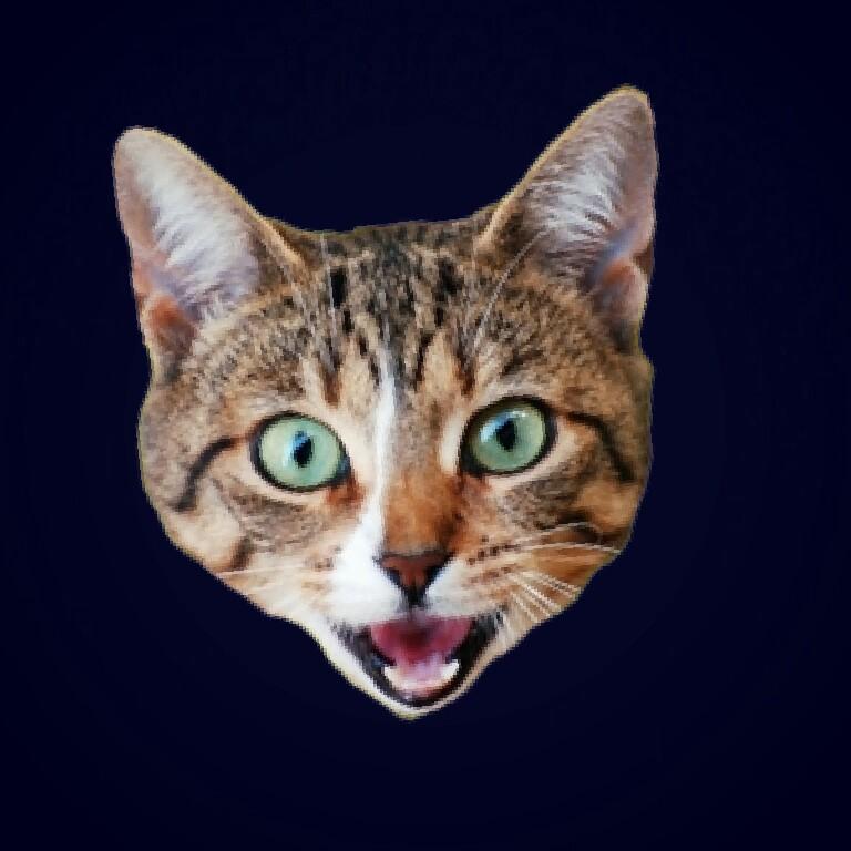 Zoe tweet media