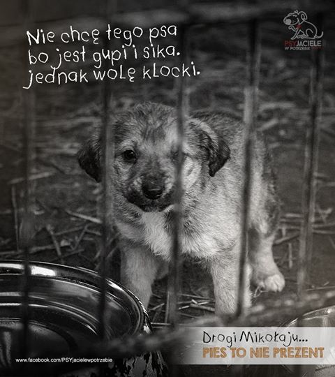 PSYjaciele's tweet photo. Niestety, temat co roku aktualny . . . http://t.co/f8c4Kz88ge