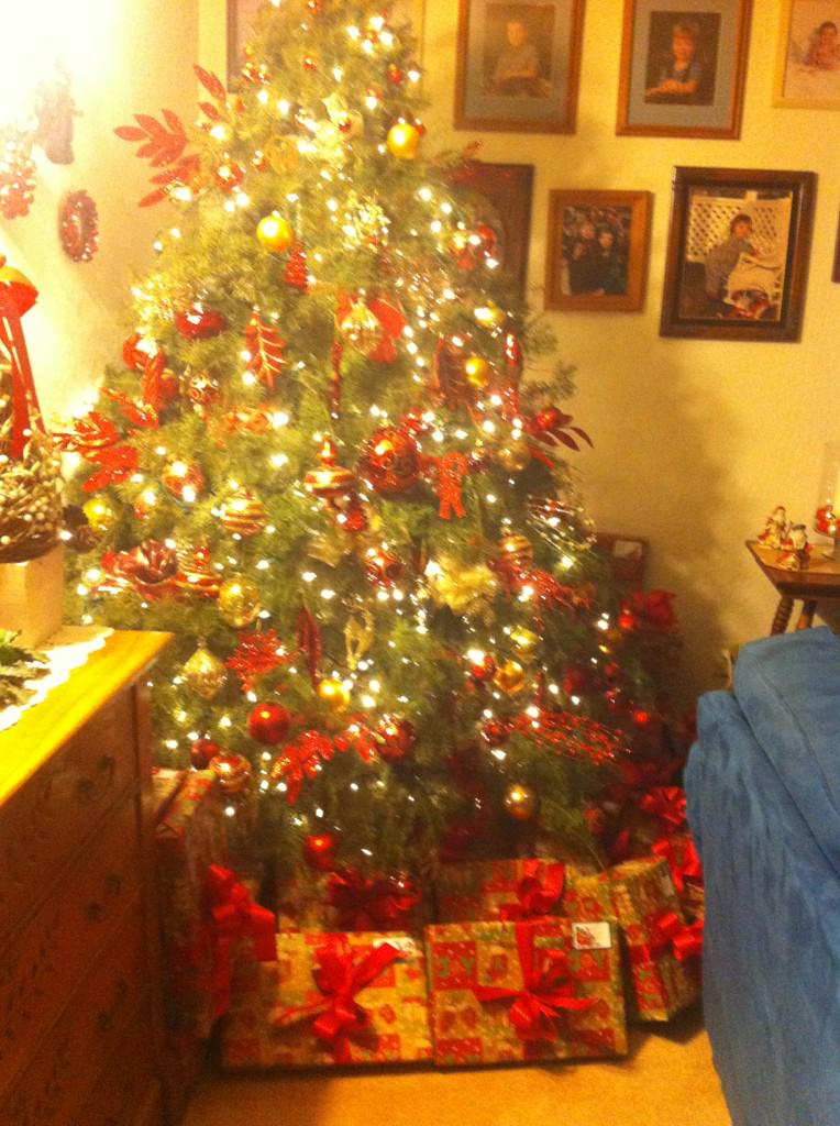 KeefetheChieff's tweet photo. The most perfect trees! 🎄 My mom might be part elf! #perfection #HomeSweetHome #tree1 #tree2 http://t.co/ynMO3lAEeO
