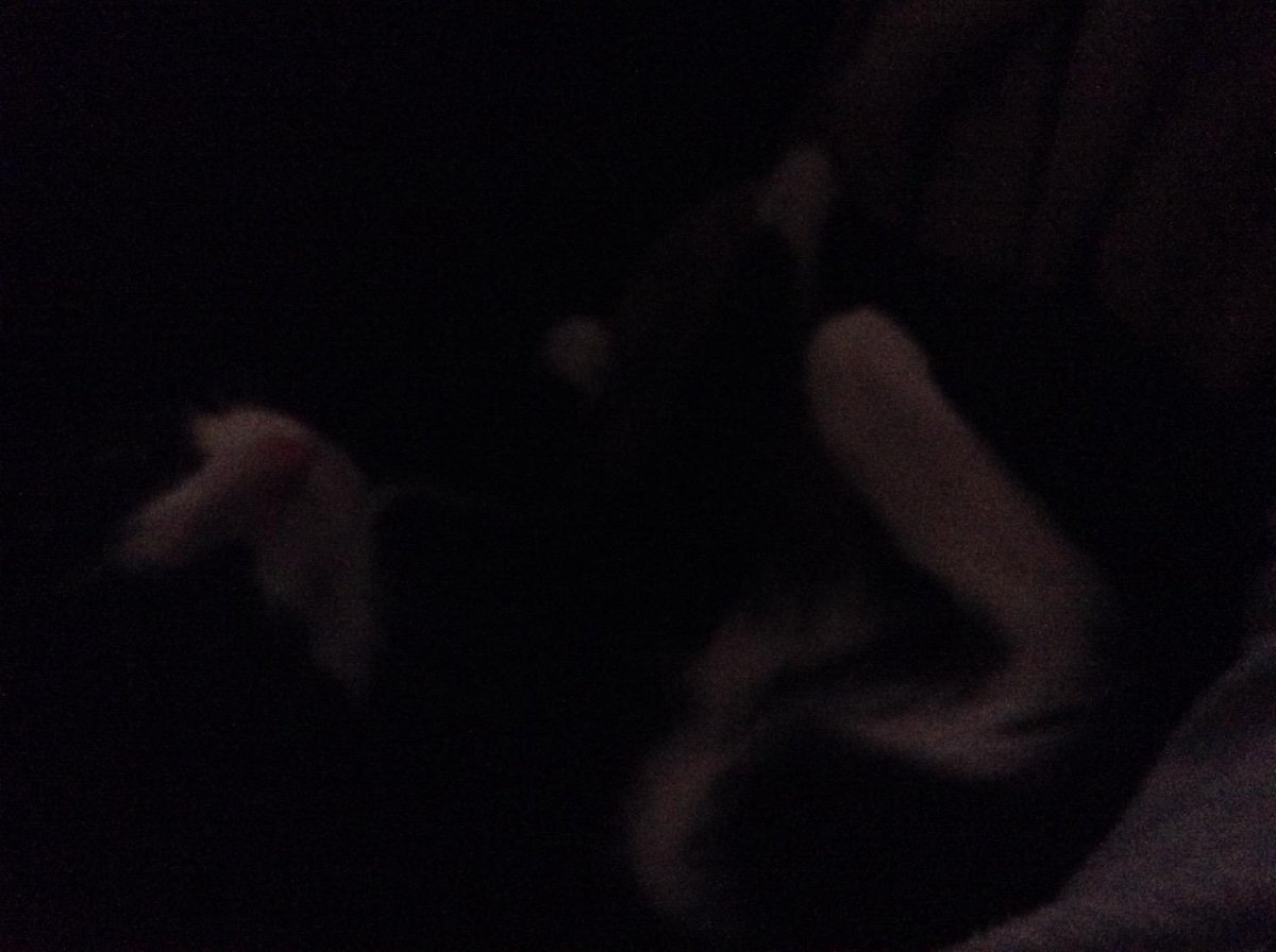 //Kitten in the dark//