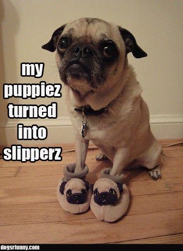 cancerwarrior3's tweet image. @carlyaquilino my goal is to be retweeted by Carly.