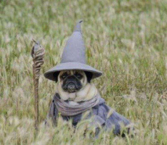 cancerwarrior3's tweet image. @carlyaquilino my goal is to be retweeted by Carly.