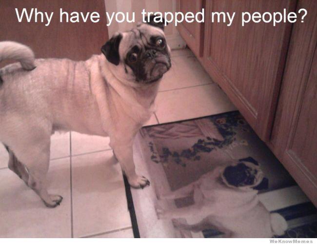 cancerwarrior3's tweet image. @carlyaquilino my goal is to be retweeted by Carly.