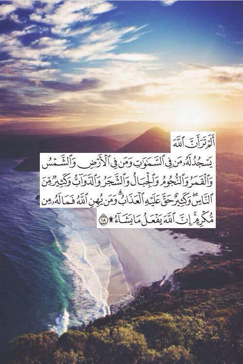 Sa___uu's tweet photo. سبحان الله والحمدلله ولا إله الا الله و الله اكبر. http://t.co/pn2wyvMT79