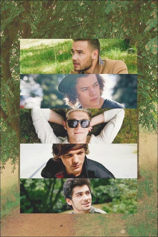 directioner_f1's tweet photo. Free cause ily #wallpaper #onedirection #onedirectionwallpaper http://t.co/8lAdz838ld