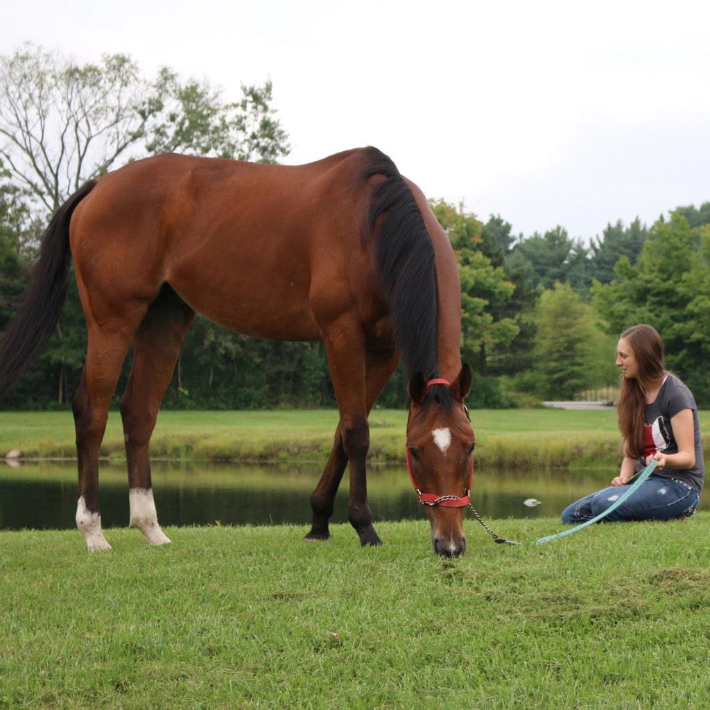 Harlow324's tweet photo. “@CowgirlAmbition: Quote tweet this with your favorite photo of your horse 😊🐴” My super sassy #OTTB #MooreHill ❤️ http://t.co/CFYZVAVJa2