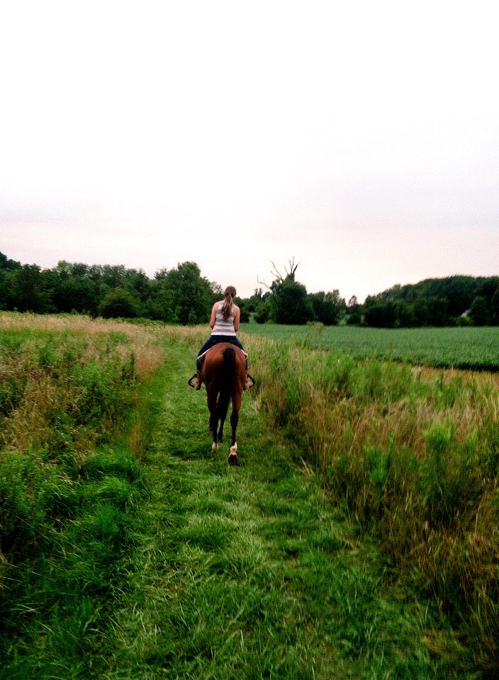 Harlow324's tweet photo. “@CowgirlAmbition: Quote tweet this with your favorite photo of your horse 😊🐴” My super sassy #OTTB #MooreHill ❤️ http://t.co/CFYZVAVJa2