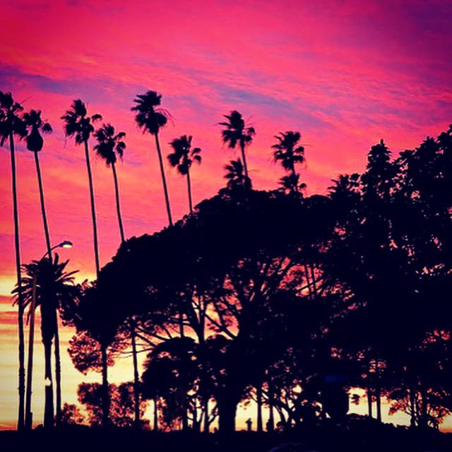 Permalien de l'image intégrée