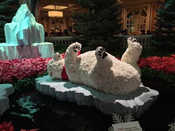 imJohnnyPlaid's tweet photo. Have a Coke &amp; a Merry Christmas #BellagioHoliday http://t.co/2vZqmh5xI9