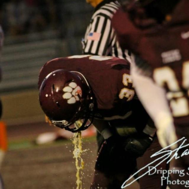 Dripping Springs High School (TX)