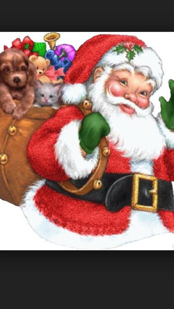 justintanner4's tweet photo. @gracetanner2004 merry Christmas gg http://t.co/eV2qSgr3Lt