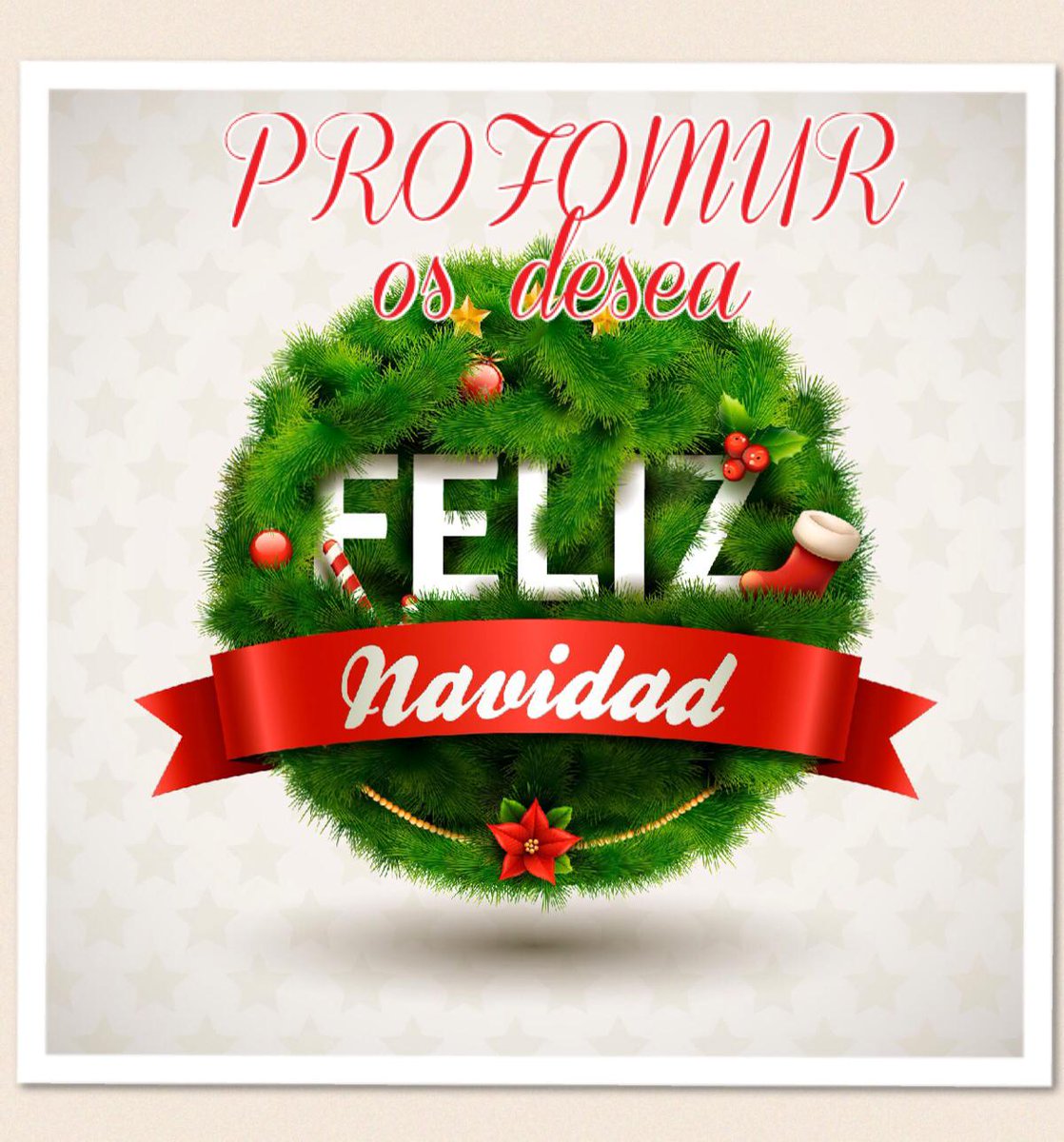 PROFOMUR os desea Feliz Navidad, nuestros mejores deseos para estas Navidades 2014 y este nuevo año que comienza