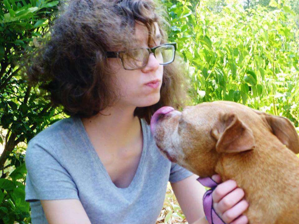 FosterMeNY's tweet photo. #AdoptBONITA 40lb goofball #puppy good w/kids, ppl/ needs work w/other #dogs
#redhookrescue
https://t.co/aJcXoHbBrv http://t.co/cg2ALngLgb