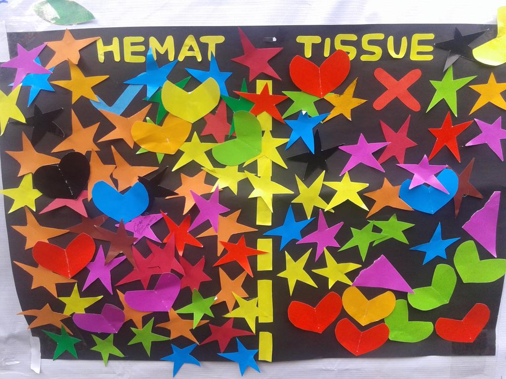 diet_tissue's tweet photo. Ini hsl polling kta dkalangn mhs fisip undip trhdp pghematn tissue😊 si2 kanan stuju &amp; si2 kiri tdk stuju #diettissue http://t.co/W3iICbco8e