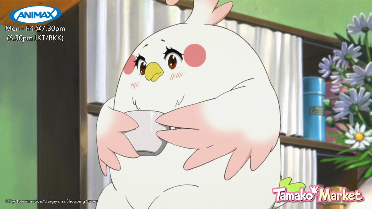 Animax Asia Tv On Twitter Catch The Adorable Mochi Obsessed Bird Animax Asia Tv On Twitter Catch The Adorable Mochi Obsessed Bird