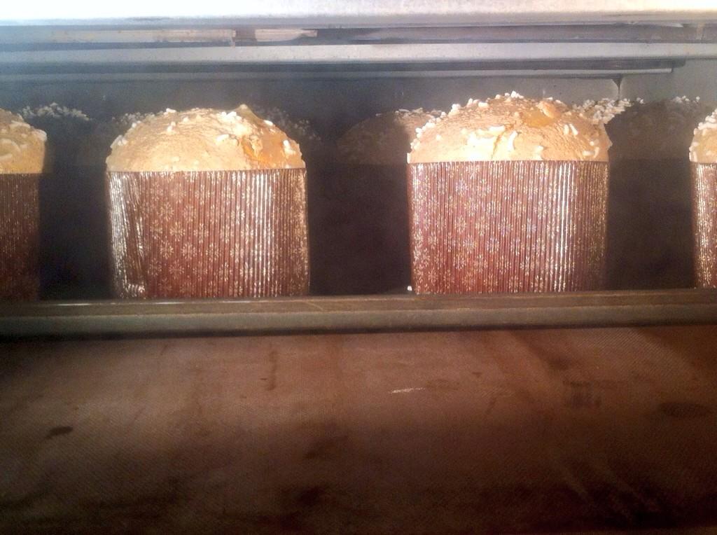 #panettoni tradizionali #vegani con arancio, cedro e uvetta, in cottura da 500g #bello #buono e #salutare