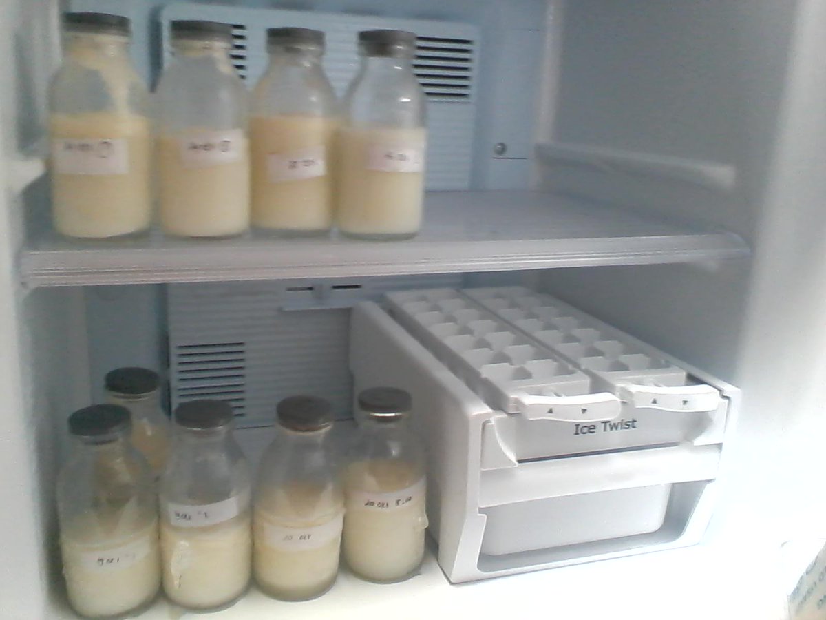 MessiAdie's tweet photo. Stock ASI menipis,,
Smangat Pumping Ma... http://t.co/puR4QR7NXQ