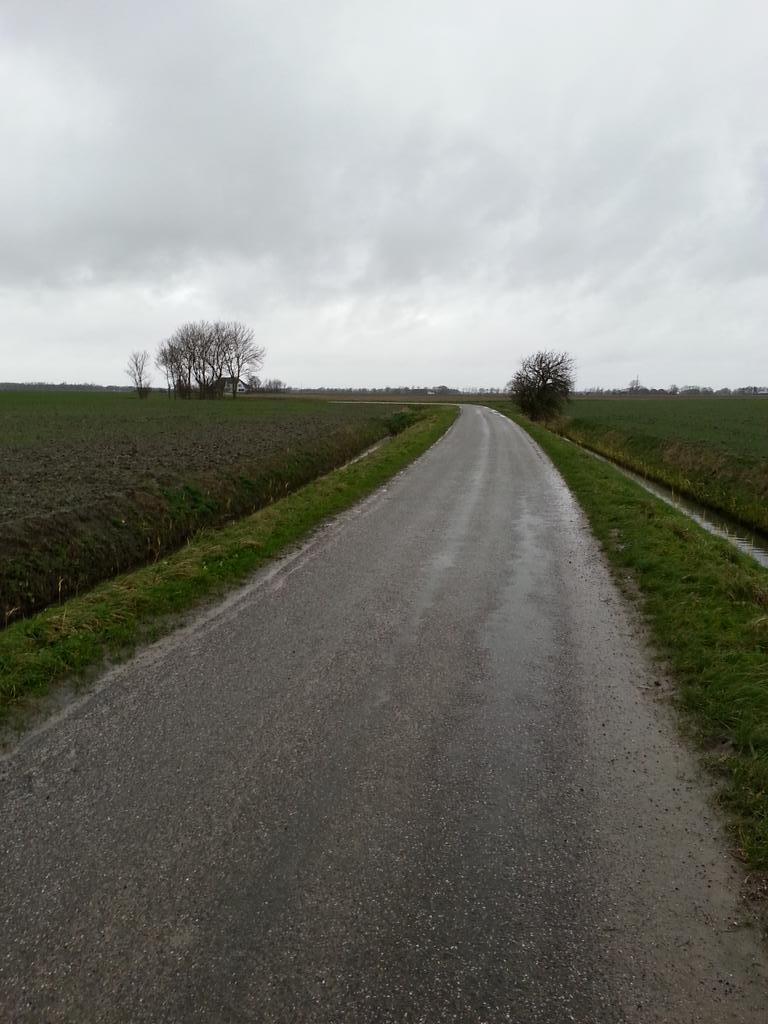 Chrizzzz's tweet photo. @jason_mraz Thank you 4 always being my companion on these cold, rainy and long walks #battlingthepounds @MrazTeam http://t.co/gsa35MMWGM