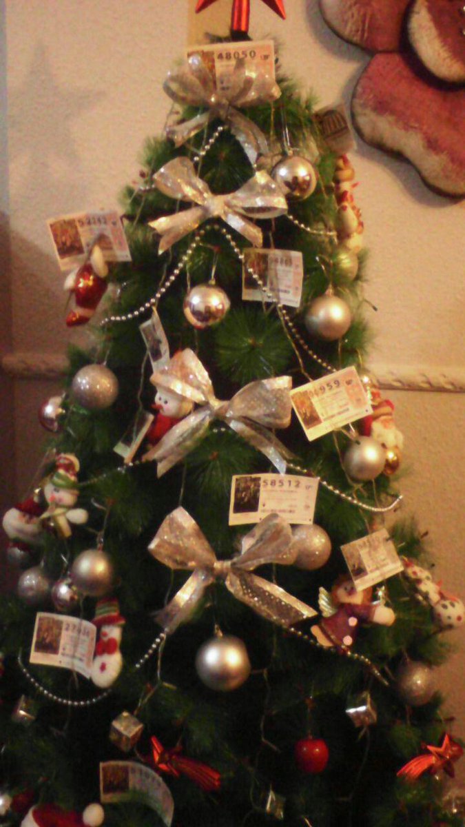 vscleo's tweet photo. Con el árbol de la suerte preparado desde Cádiz #LoteriadeNavidad #LoteriaRTVE http://t.co/gDzooDQGAC