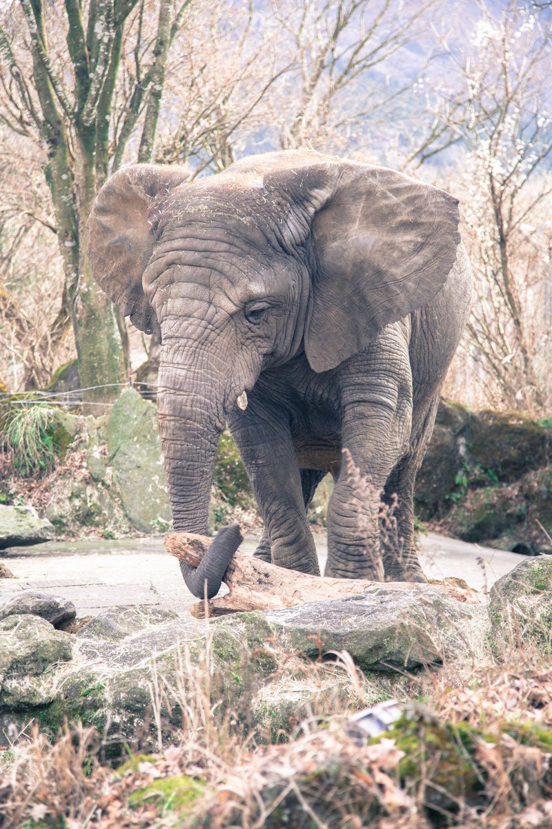KylaMila's tweet photo. WILDLIFE entry for @dailyp #kylamila http://t.co/F7YoQAQVug