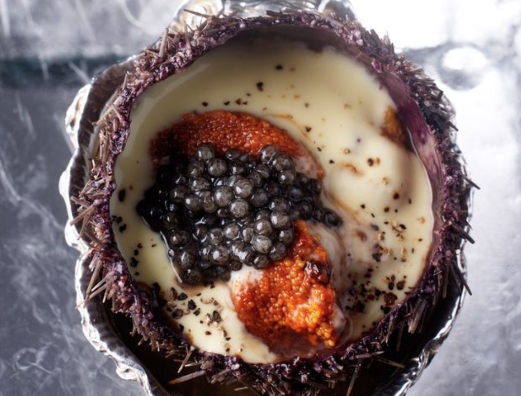 Caviarlys's tweet photo. Idée entrée #Noël : Beurre d'#oursins au #caviar. Recette : http://t.co/yl5rPeEzjk. #caviarlys http://t.co/Md8y05vKhY http://t.co/898vxCrj4I